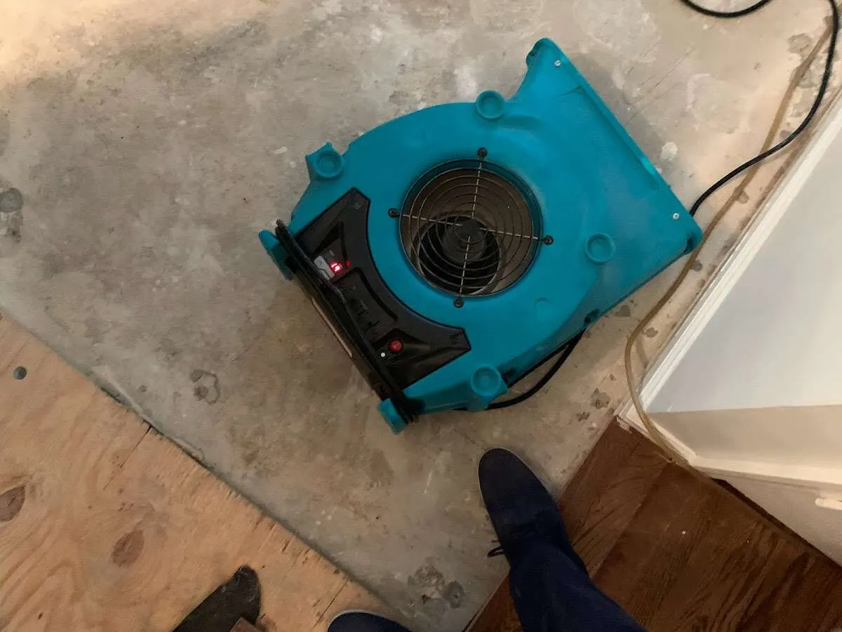Air mover drying subfloor during Leak Detection & Repair in Tuscumbia
